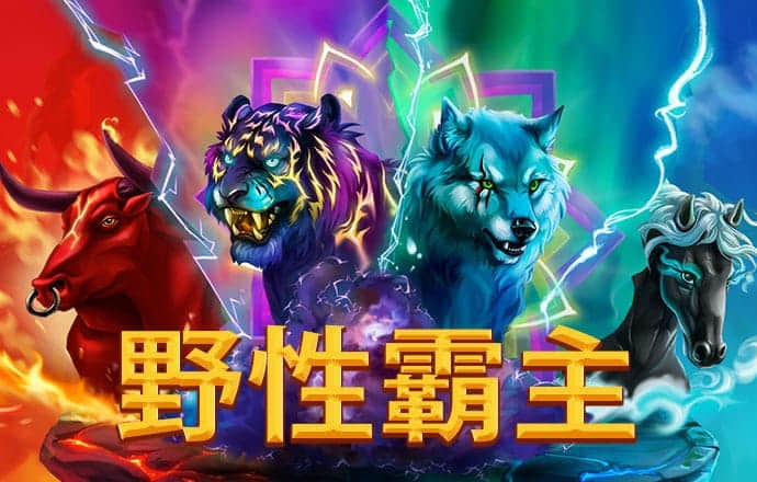 竞彩篮球app下载APP